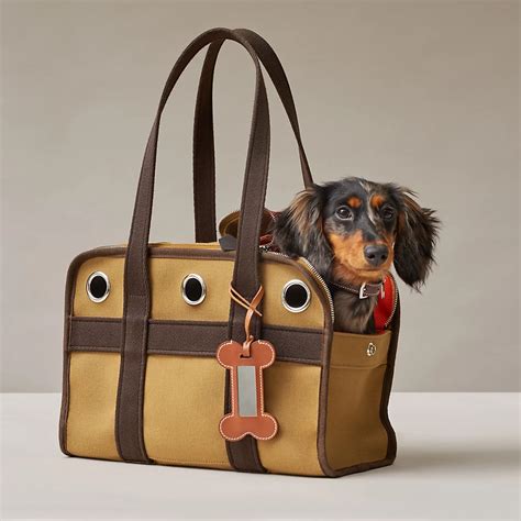 hermes cane|hermes equestrian dog bag.